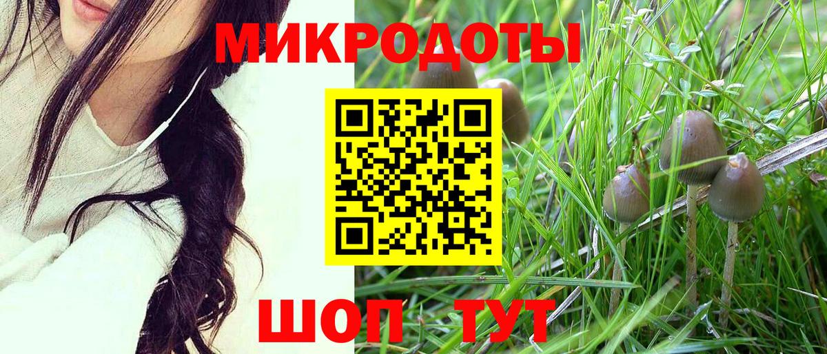 Галлюциногенные грибы Psilocybe Тобольск