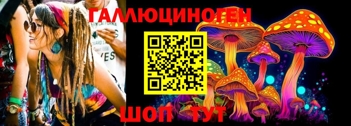 дарнет шоп  Псилоцибиновые грибы GOLDEN TEACHER  Тобольск  Вход с VPN  Галлюциногенные грибы ЛСД 
